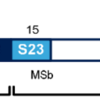 STM32F4_64P STM32F446 SPDIFRX（１）概要