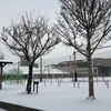1/19～1/25　今週のまとめ　（2026-W04）