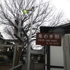 DEAMON'S HAND PRINTS IN THE ROCKS（盛岡・三ツ石神社）