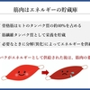 栄養管理を科学する２５