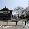 加賀一宮駅の桜