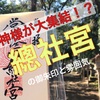 神々が集う！？【常陸國總社宮】御朱印や神社の雰囲気をサクッとご案内（茨城県石岡市）