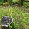 ２８日　豪雨強風