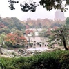 東京の雪と紅葉の庭園。六義園、小石川後楽園、井の頭公園