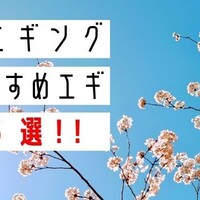 エギカラー選択まとめ 天気や時間帯で使い分けて釣果up 釣りの人