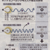 ハイゼンベルクの不確定性原理