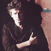 Don Henley - Building the Perfect Beast：ビルディング・ザ・パーフェクト・ビースト -