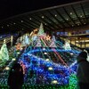 JR岐阜駅前イルミネーション