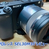 【SONY SEL30M35 レビュー】物撮りにはコレ！マクロレンズで接写の世界を楽しみます。