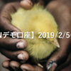 【SHONANデモ口座】2019/2/5(火)の成績
