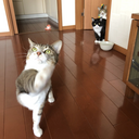 行列嫌いの東京グルメ食べ歩き！