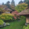 【京都】雨の「祇園」「青龍苑」を散策しました。 京都観光 そうだ京都行こう 女子旅