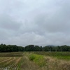 2023/10/10 火曜日　台風15号