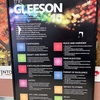 Gleeson 8/11【中3海外異文化体験研修】