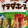 渋いお茶菓子 亀田製菓「サラダホープ」