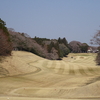 平成３０年３月　ダイヤグリーン倶楽部月例杯備忘録（インコース編）