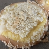 アップルクランブルクリームパン