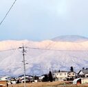 雪道を飛び交う