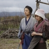 11月20日、小池栄子(2014)
