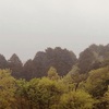 今朝の景色
