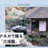 【436話・FUJIFILM】クラシックネガで撮る横浜本牧「三渓園」