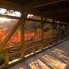 東福寺・臥雲橋