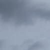 予定が入ってる方
