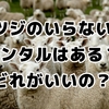 「ヒツジのいらない枕」レンタルよりお得？30日間返金保証でどれがいいのか寝心地を探す！