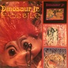 PAGE15 「FOSSILS」DINOSAUR.jr 1991年