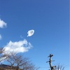 年長のお兄ちゃんと後何回公園に行くのかなぁ