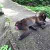 『願わくば気持ち良く生きて行きたいですね』