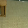畳の色が