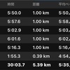 2019/11/08 いびがわマラソン前々日