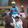 こ、これは…