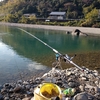 二年越しの大鯉釣り上げました〜