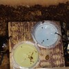 グラントシロカブト　ペアリング