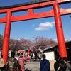 桜～平野神社その１