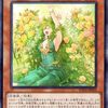 表裏の女神【コイントス効果をサーチ】