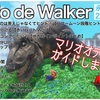 パワームーン段階ヒント集！欲しかったのは答えじゃなくてヒント！【Mario de Walker】