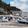 和歌浦漁港から和歌浦の魅力を探す　【2025年3月追記】
