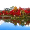 京都写ん歩　もみじの永観堂に突撃！（再録）