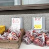 りんごのシーズンの始まり