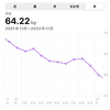 2020年10月下旬から開始したダイエットの現状