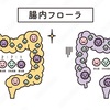 心と体をいい状態にする為、腸内環境を整えよう‼️