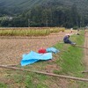 模造タウン