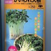 効率良く可愛くカイワレ大根栽培、更に研究中