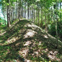 長野県タイプB、山田城、蟻塚城、殿嶋城、市野瀬古城、遠野城