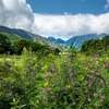 白馬村、すっかり涼しくなったよー！8月もあと少し