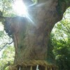 本物の人間になる