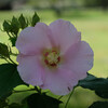 西大寺緑花公園の秋